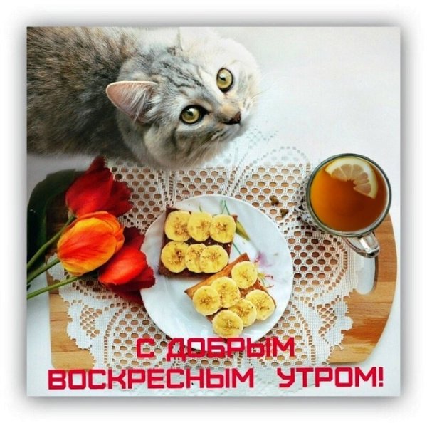 С добрым воскресным утром