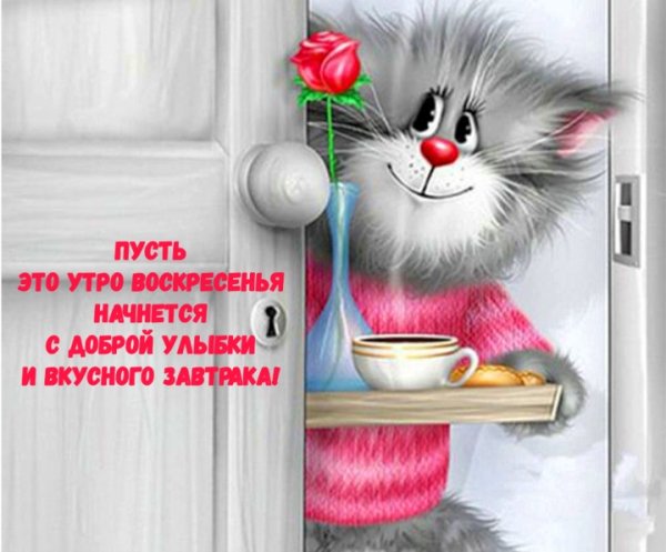 Доброе Воскресное утро прикольные