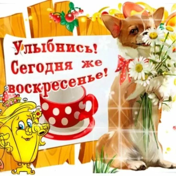 С добрым воскресным утром