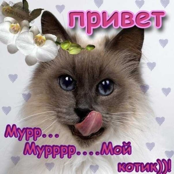 Открытка привет любимому