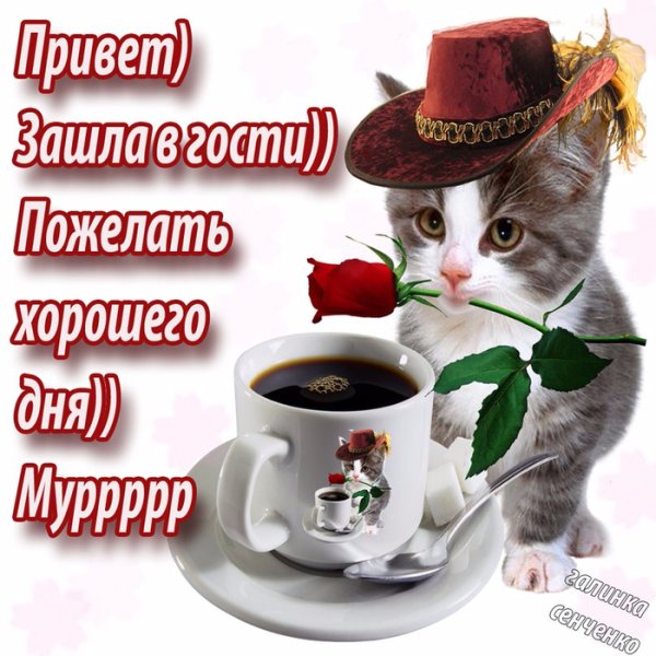 Удачного дня мужчине