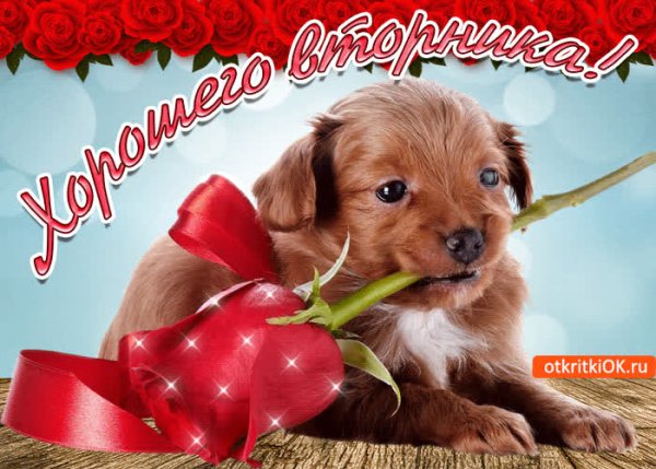 Открытки хорошего вторника