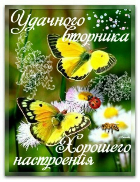 Поздравления со вторником