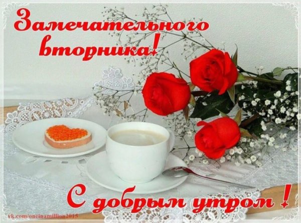 С добрым утром вторника