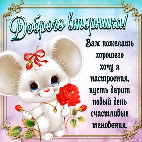 Добрые пожелания