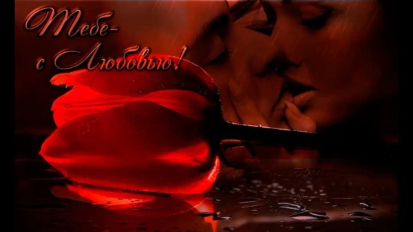 Открытки о любви к мужчине