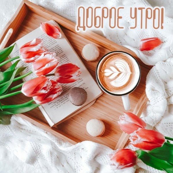 Стильные картинки с добрым утром