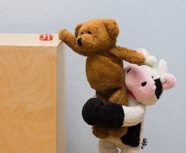 Важно поддерживать друг друга