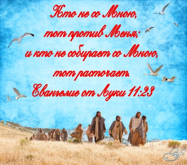 Новый Завет цитаты