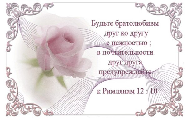 Открытки с Цитатами из Библии