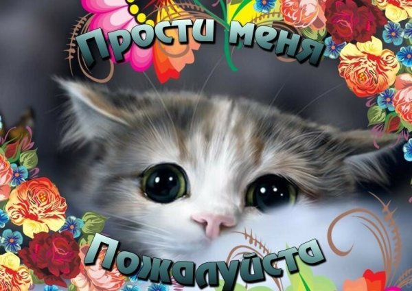 Открытка "прости"