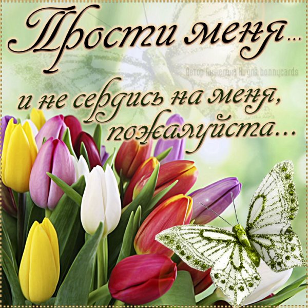 Открытка прости меня