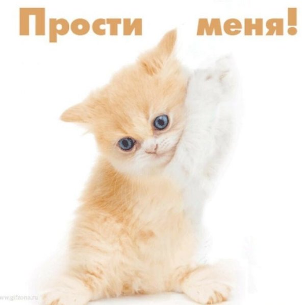 Прости меня картинки