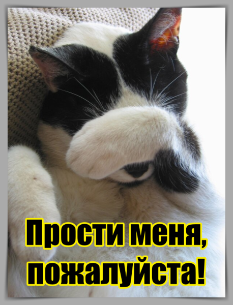 Открытка с извинениями мужчине любимому