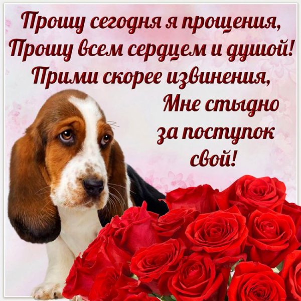 Открытка с извинениями подруге