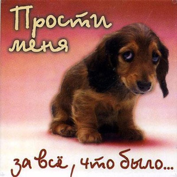 Мама прости пожалуйста фото