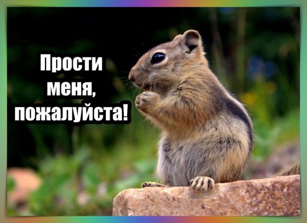 Прости картинки