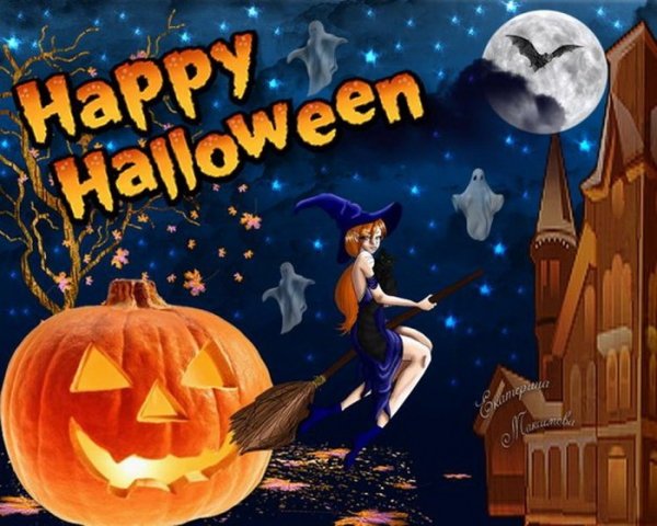 С Хэллоуином кот