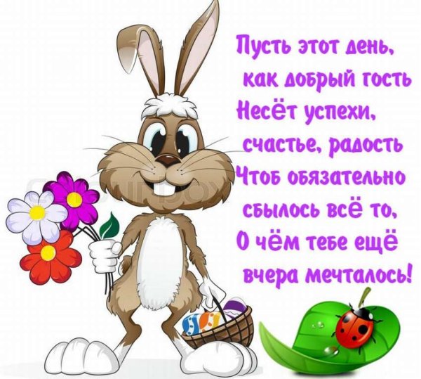 Прикольные пожелания