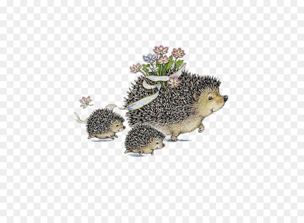 Открытка с ежом