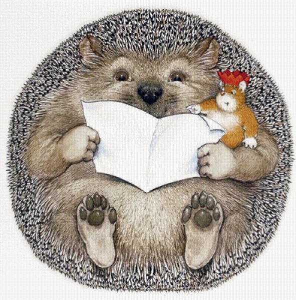 Поздравительные открытки с ежиком