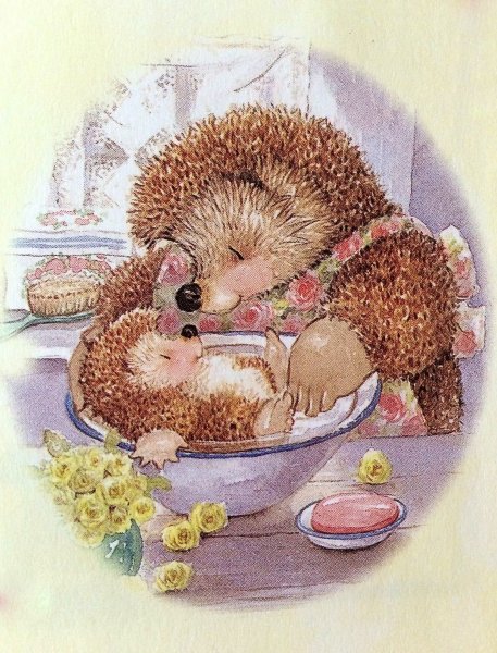 Милые ежики иллюстрации