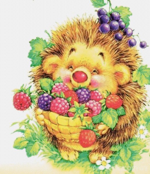 Иллюстрации Марины Федотовой ежики