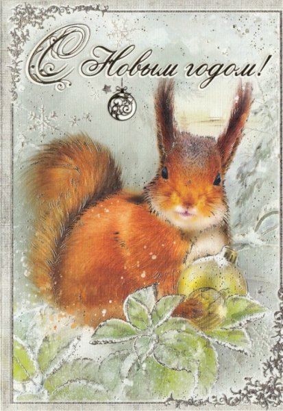 Открытки с белочкой