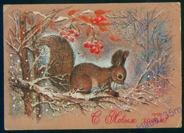 Белка с ромашкой