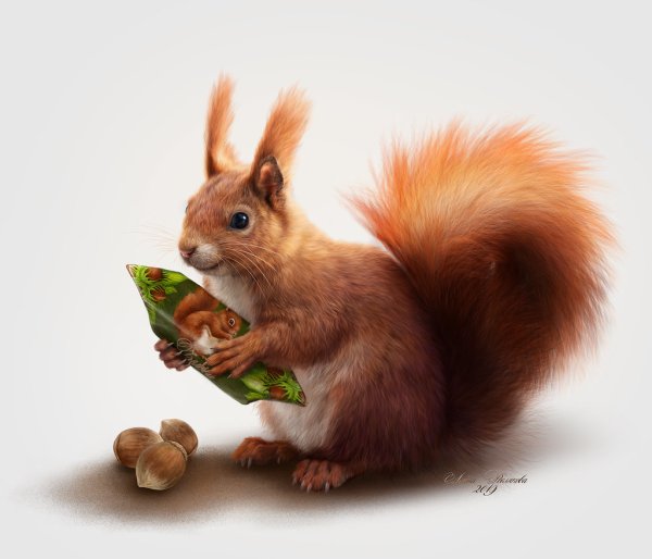 Новогодняя открытка белка