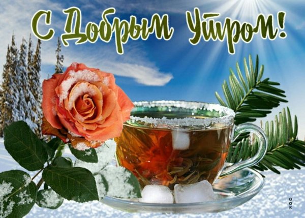 Картинки с добрым утром зимние добрые