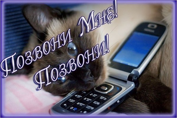 Звони мне