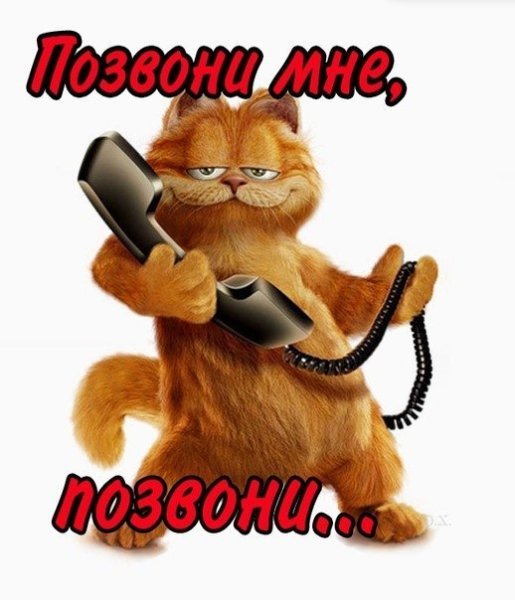 Жду звонка прикол