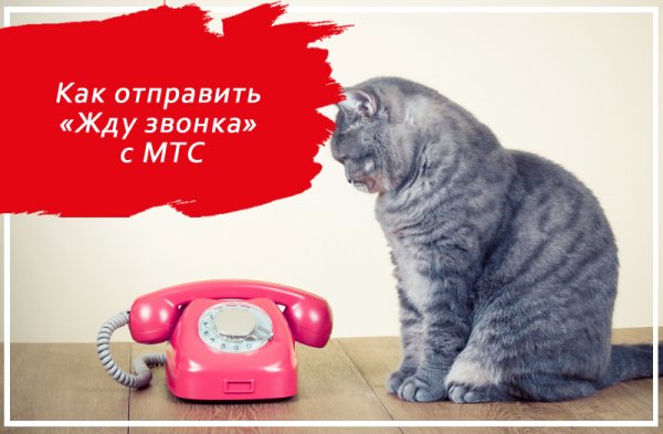 Жду твоего звонка любимый