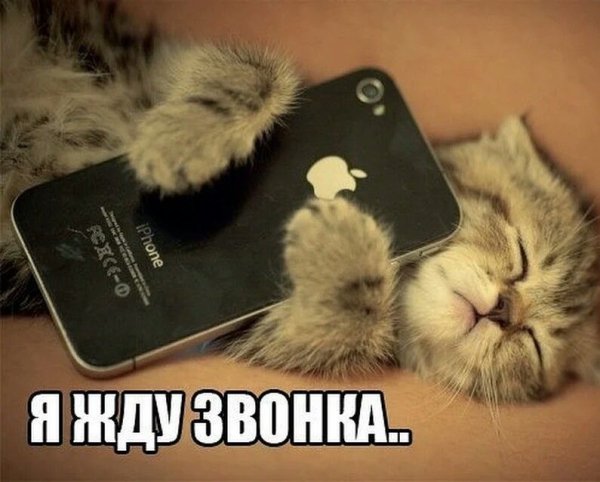 Открытки позвони