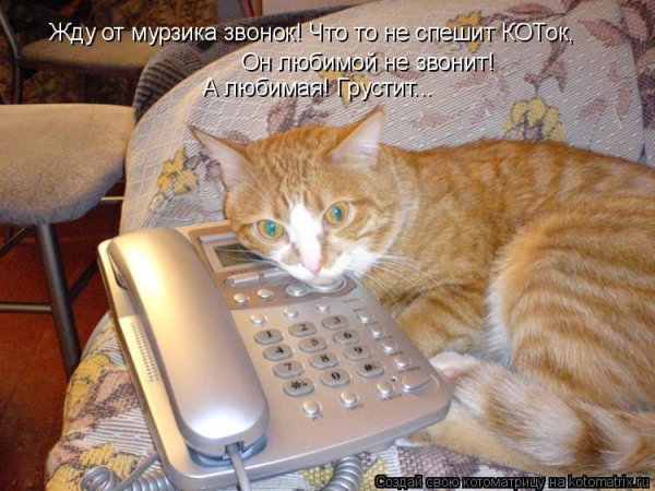 Почему не звонишь