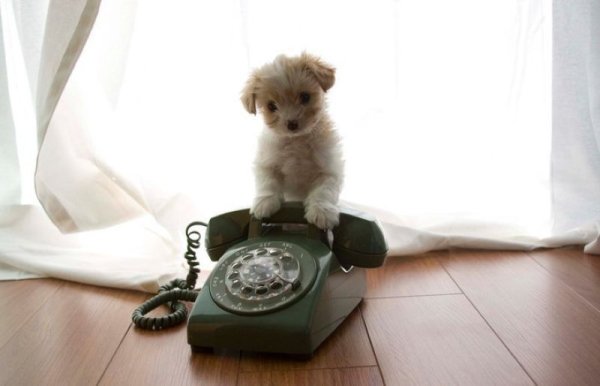 Скучаю жду в гости