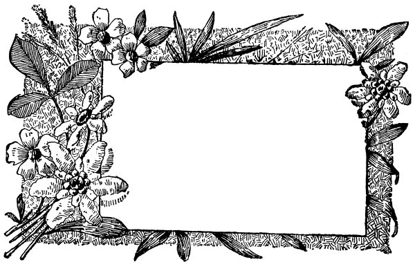 Рамка черно белая горизонтальная