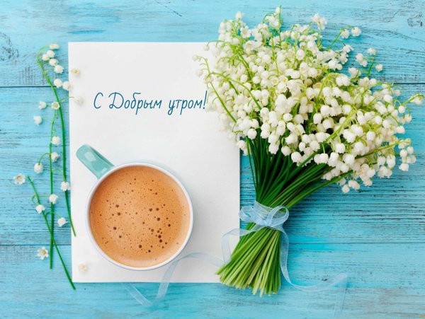 Доброе утро чудесного дня