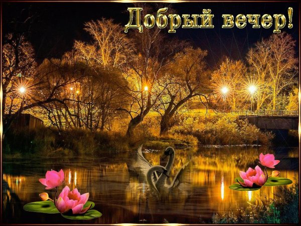 Поздравление с добрым вечером