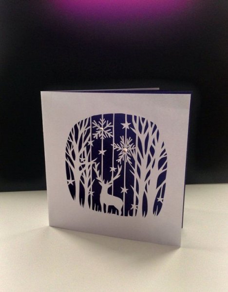 Зульфия Дадашова туннели