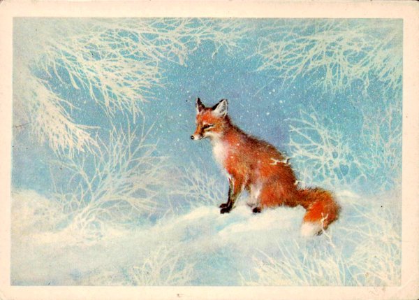 Художник анималист Исаков