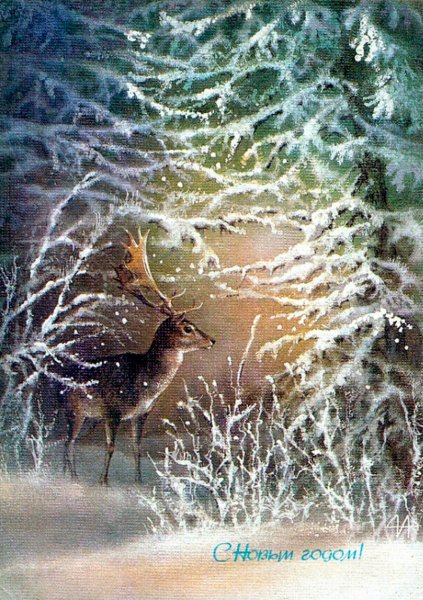 Алексей Исаков открытки