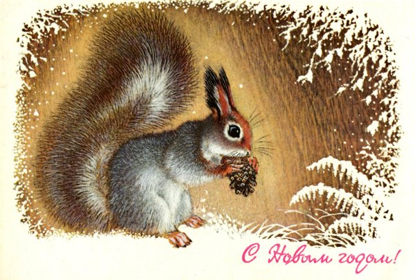 Белка художники анималисты