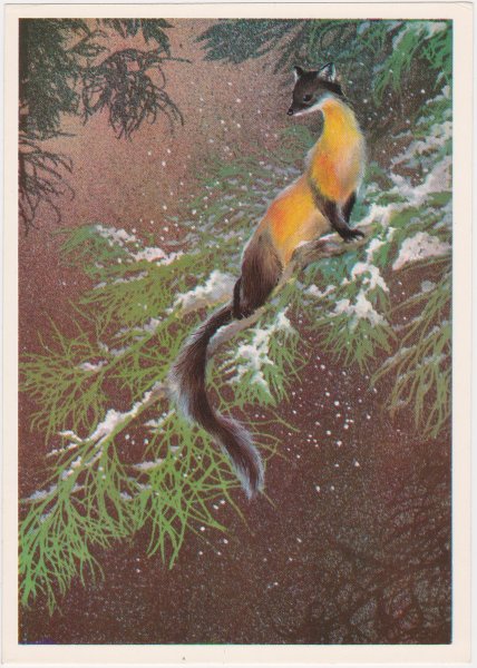 Алексей Исаков художник открыток