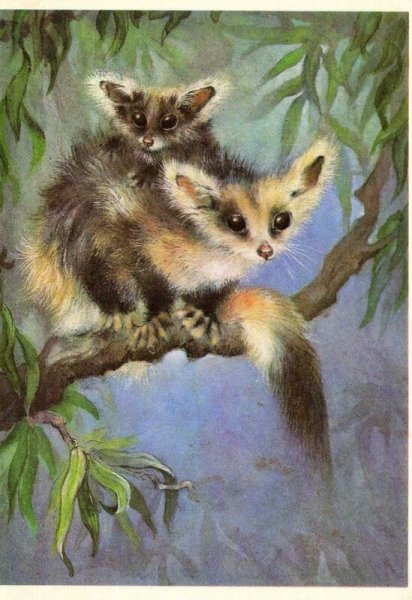 Алексей Исаков художник