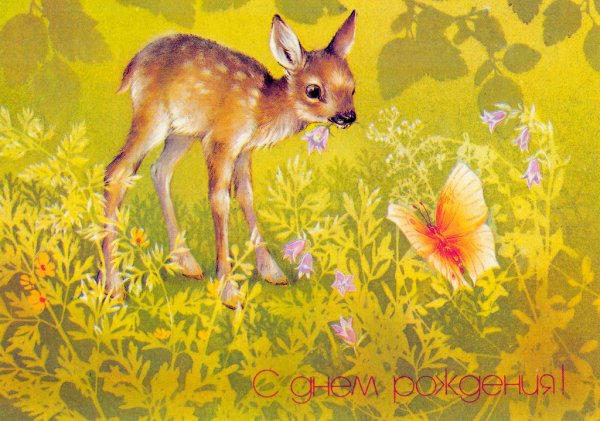 Олененок открытка