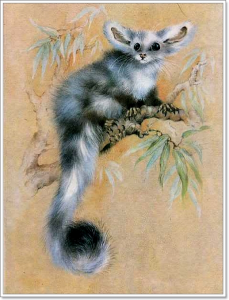 Мультимедийный Ежик а4 на 4 части