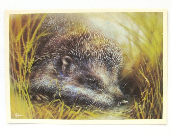 Художник Исаков новогодние открытки