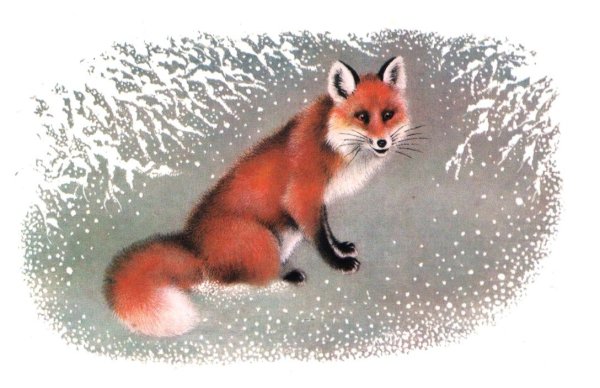 Открытки СССР Исаков